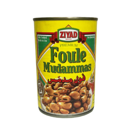 Ziyad Foul Mudammas