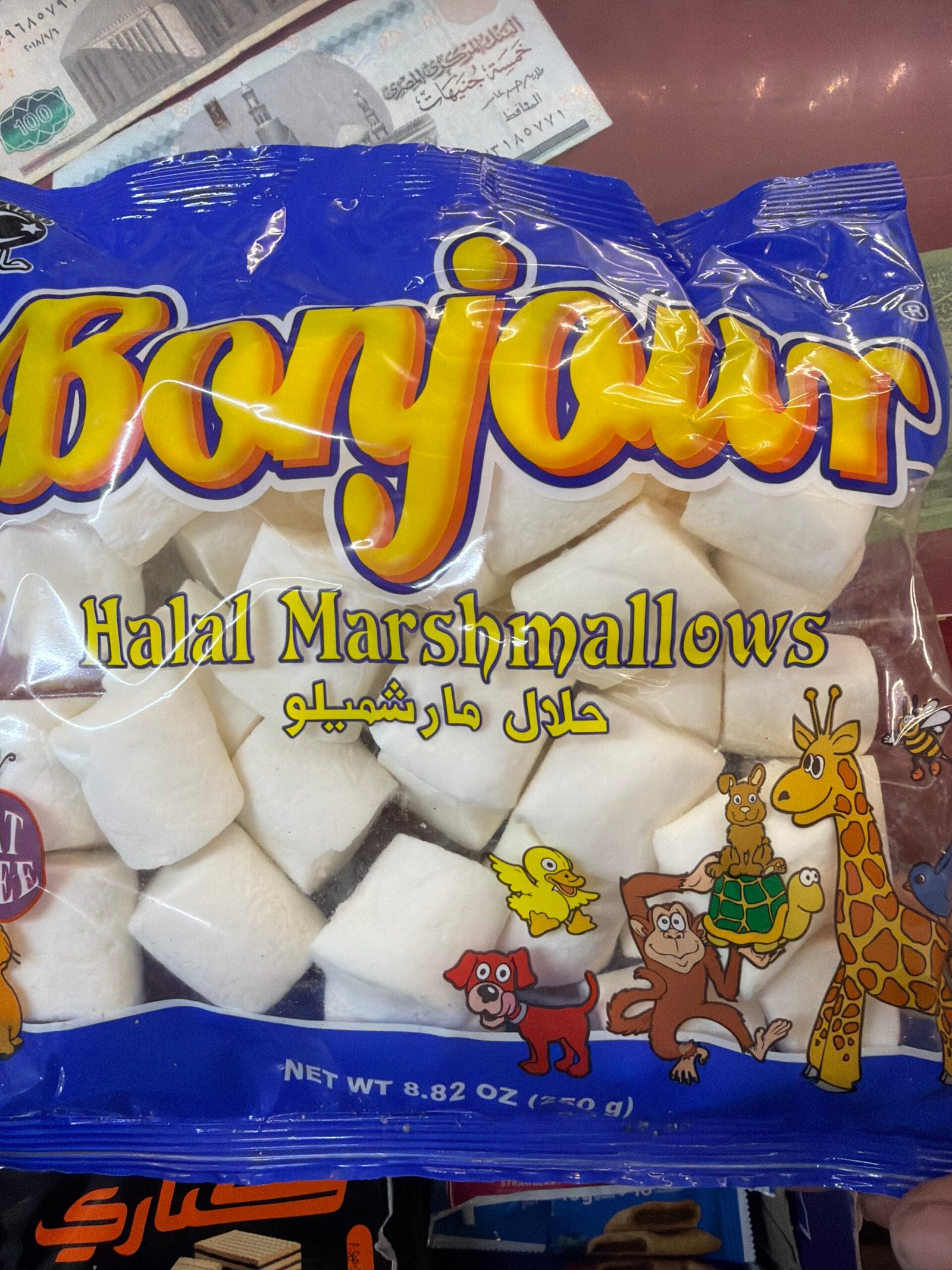 1765649632895-mhod7ubo.jpg 1765649632895 Mhod7ubo Scaled