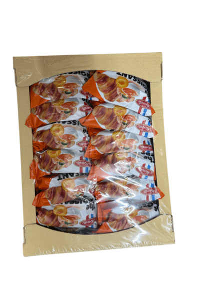 1769108117191 9kx74l.png