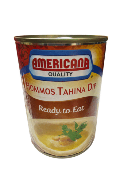 americana hommos tahina dip