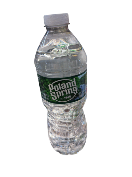 poland springs poland springs water 16.9 fl oz